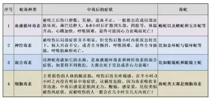 眼镜王蛇大战科莫多巨蜥，谁才是陆地最强有毒爬行动物？