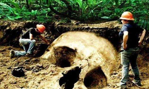 5米巨人遗骸现世！考古界专家却不敢公诸于世，这到底是为何？