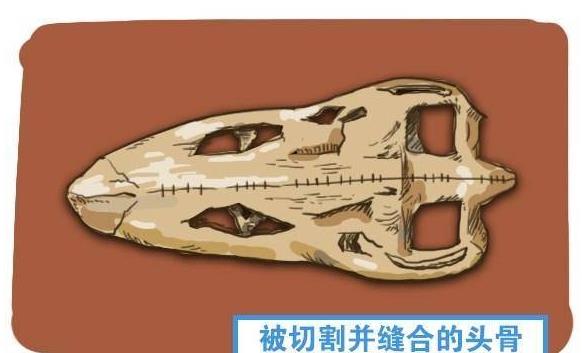 四川第一天坑竟是7500万年前的外星人基地？证据太多了！