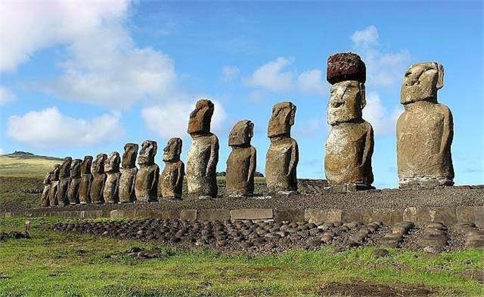 人类到底是不是地球原生物种  如果不是 那么可能来源于哪儿