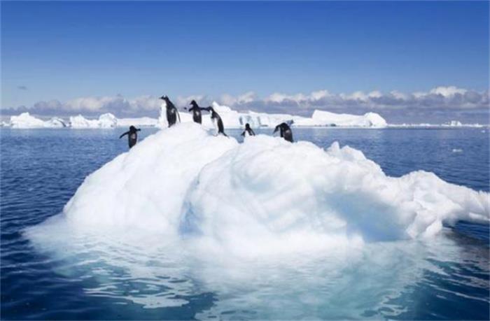 南极的冰层之下 埋藏着什么样的秘密（南极秘密）