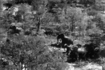 我国与南非建立外交关系