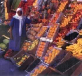 我国与南非建立外交关系