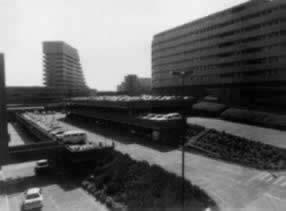 我国与南非建立外交关系