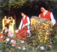 我国与吉尔吉斯斯坦建立外交关系