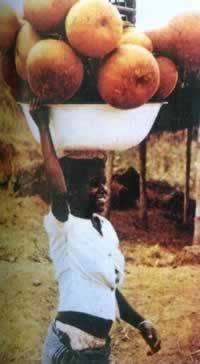 我国与安哥拉建立外交关系