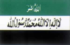 1955年1月20日我国与阿富汗建立外交关系(2025-1-20已更新)