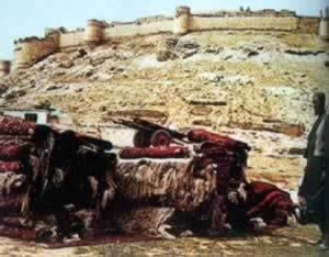 我国与阿富汗建立外交关系