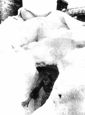 1947年1月21日欧洲经历1883年以来最寒冷的冬天(2025-1-21已更新)