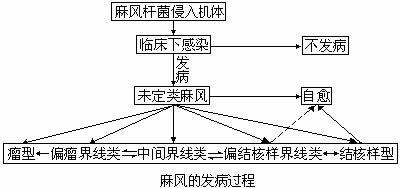 挪威人阿莫尔·汉森发现麻风杆菌