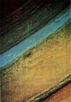 1979年3月7日旅行者1号发现木星是带有光环的行星(2025-3-7已更新)