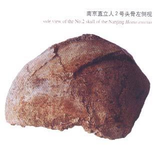 1993年3月13日南京汤山古人类头骨被发现(2025-3-13已更新)