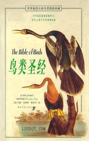 1785年4月26日美国画家和自然主义作家约翰·詹姆斯·奥杜邦诞生(2025-4-26已更新)