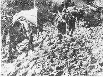 1941年4月27日希腊军队向轴心国投降(2025-4-27已更新)