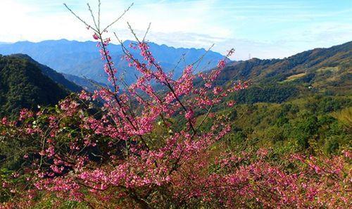 1907年5月5日台湾原住民泰雅族发起抗日的枕头山事件(2024-5-5已更新)