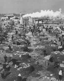 1958年5月16日“大跃进”运动全面展开(2024-5-16已更新)