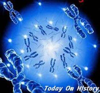 1974年11月6日中国科学院成功合成脱氧寡聚核苷酸(2024-11-6已更新)