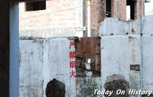 1993年11月19日深圳致丽玩具厂发生大火 87人死亡(2024-11-19已更新)