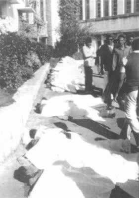 震惊世界的印度博帕尔毒气泄漏惨案