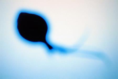 1953年12月3日冷冻精子进行人工授精首获成功(2024-12-3已更新)