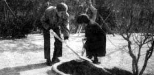 韩国前总统卢泰愚诞辰