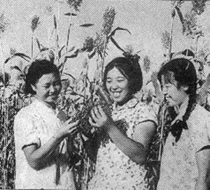 毛泽东发号召 2000万知识青年上山下乡