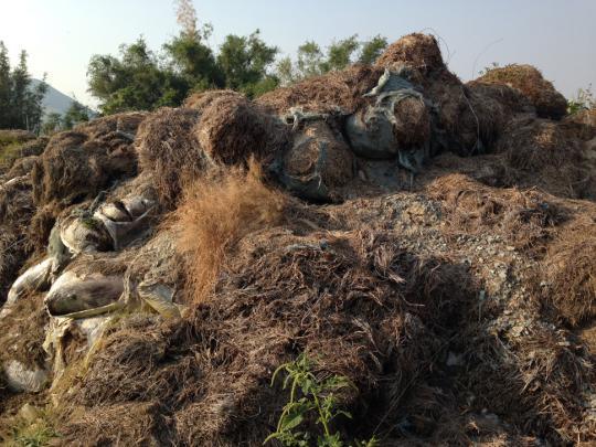 “第一毒村”案