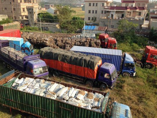 “第一毒村”案