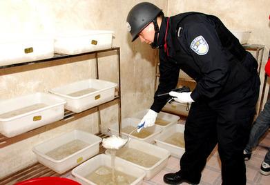 “第一毒村”案