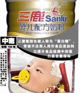 2008年12月31日三鹿奶粉三聚氰胺事件一审宣判(2025-12-31已更新)