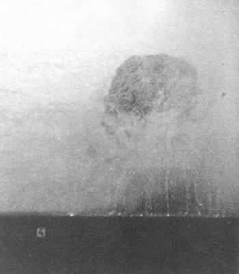 1991年12月31日苏联销毁最后一枚中程导弹(2024-12-31已更新)