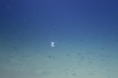 蛟龙号载人潜水器7000米级海试成功
