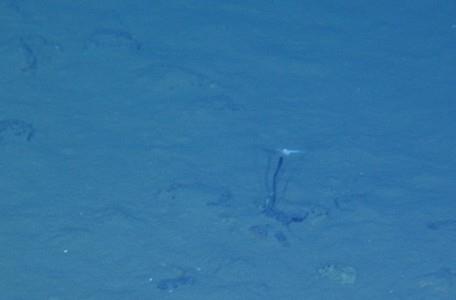 蛟龙号载人潜水器7000米级海试成功