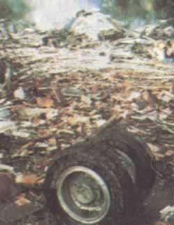 1982年7月8日一架美国飞机在新奥尔良坠毁149人遇难(2025-7-8已更新)