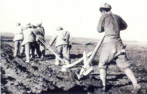1954年8月6日新中国组建新疆生产建设兵团(2024-8-6已更新)