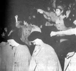 八届十一中全会通过“文革”十六条