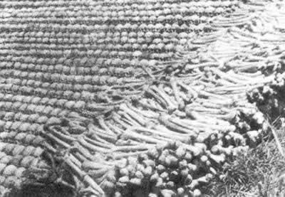 1944年8月8日日军攻陷衡阳，在衡阳烧杀淫掠(2025-8-8已更新)