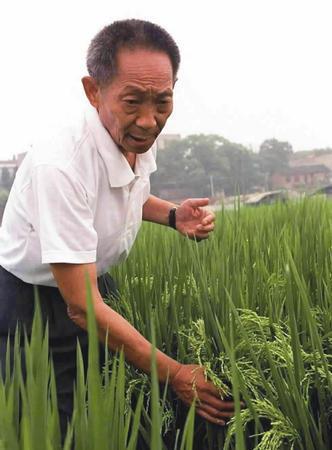 1930年9月7日“杂交水稻之父”袁隆平出生(2024-9-7已更新)