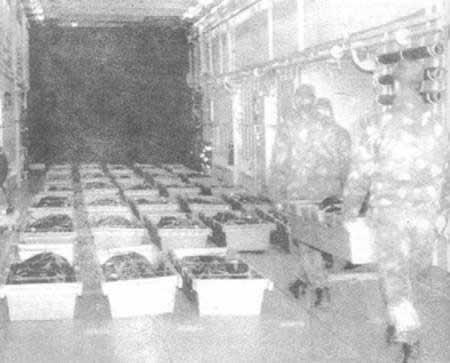 1994年9月28日“爱沙尼亚”号客轮在芬兰近海沉没(2024-9-28已更新)